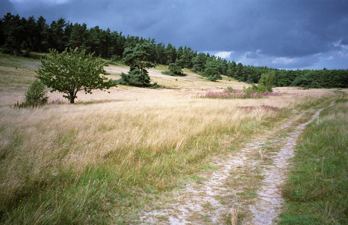 Vitemöllestranden